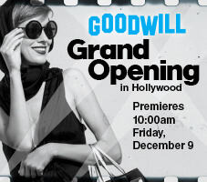 Hollywood Sunset Grand Opening